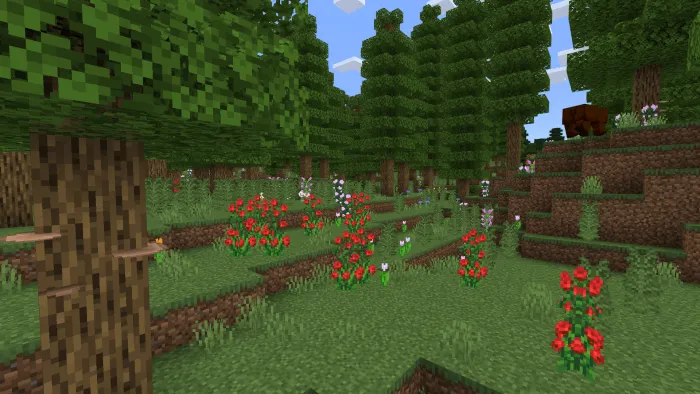 Deciduous Forest: Screenshot