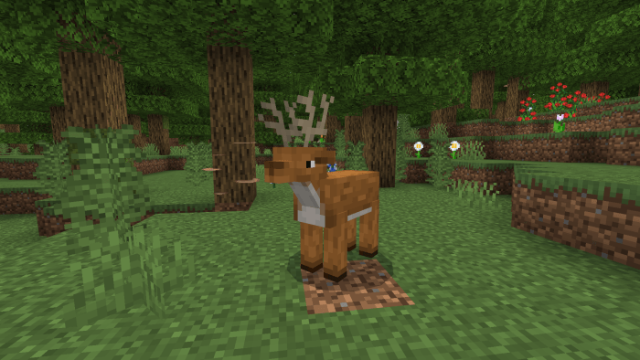 Deer: Screenshot
