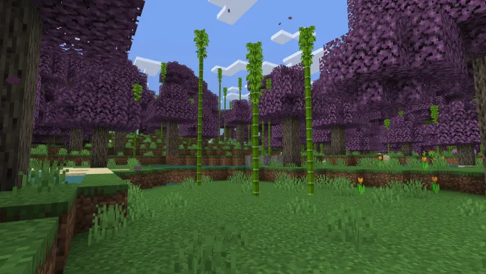 Jacaranda Forest: Screenshot