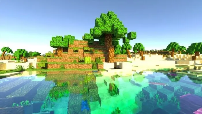 The Palm Tree