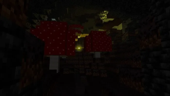 The Underground Mushroom Island Biome (Screenshot 3)