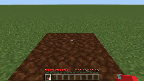 Mushroom Colony