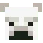 Bear face