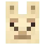 Llama face