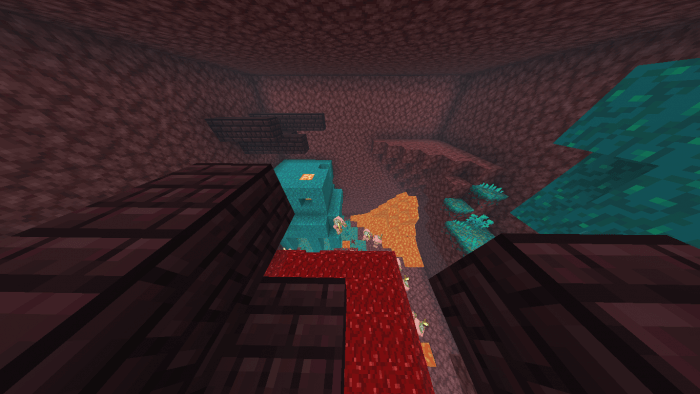 Find the button in the Nether