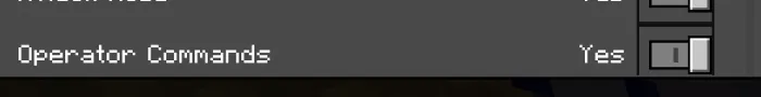 Activated operator commands option