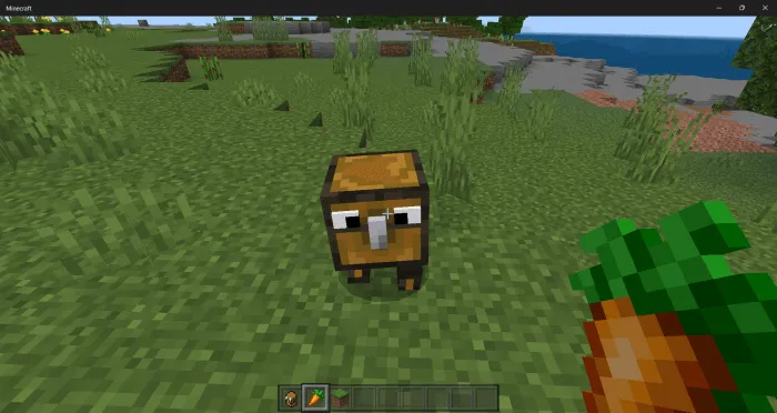 Taming Crazy Chest