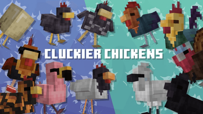 Cluckier Chickens Banner