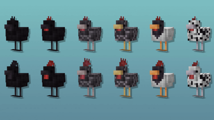 Cluckier Chickens Variants 1