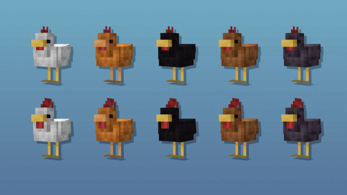 Cluckier Chickens Variants 2