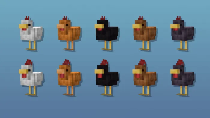 Cluckier Chickens Variants 2