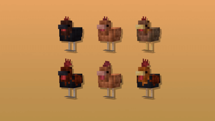 Cluckier Chickens Variants 4