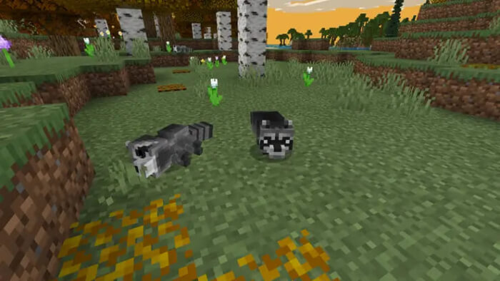Raccoons: Screenshot
