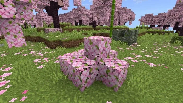 Cherry Blossom Bush
