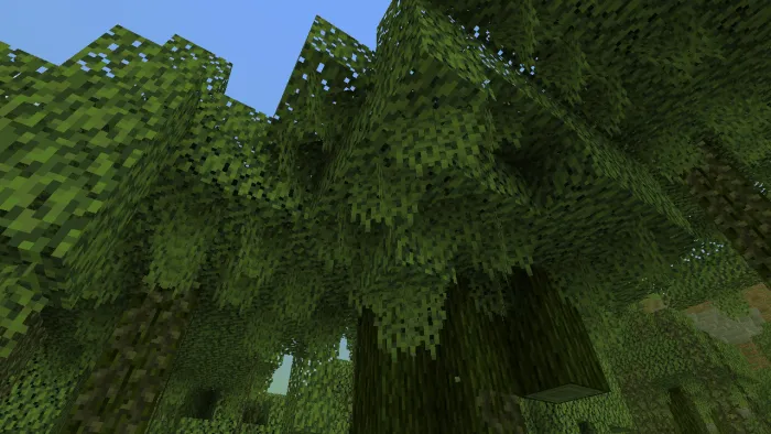 Hanging Moss Vegetation