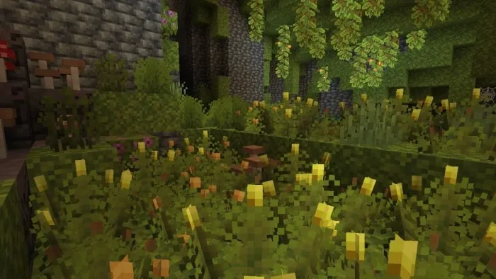 Mossy Berry Plant Vegetation