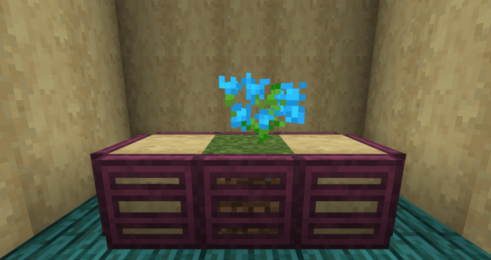 Blue orchid