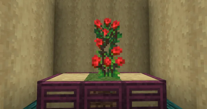 Rose Bush