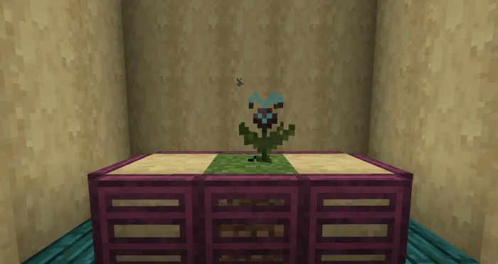 Wither rose