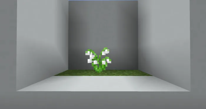 Lily of the valley