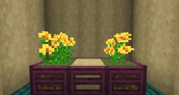 Dandelion