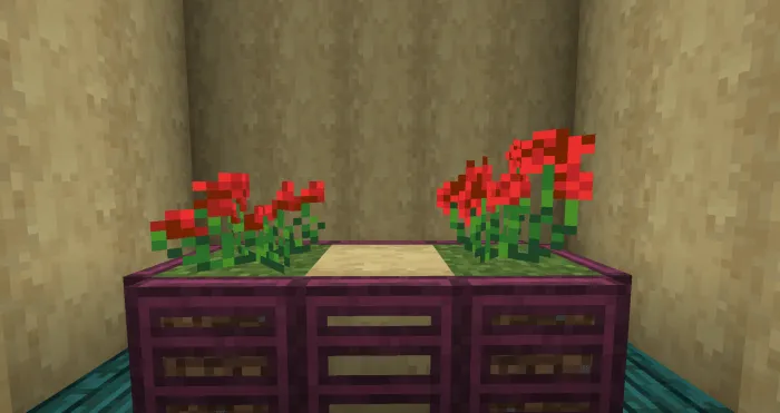 Red flower