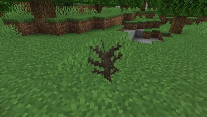 Corrupted Sapling