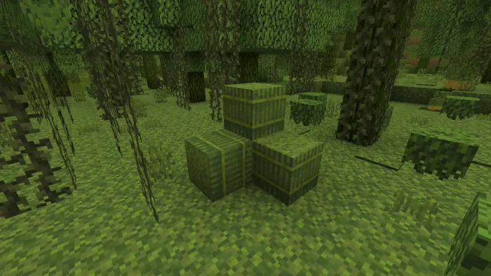 Moss Sprouts Bale Pile