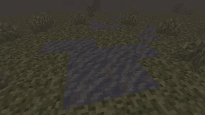 Mud Patch