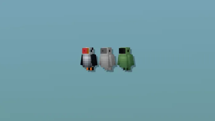 Other Bird Types 3