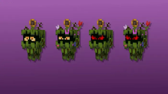 Bloom Variants