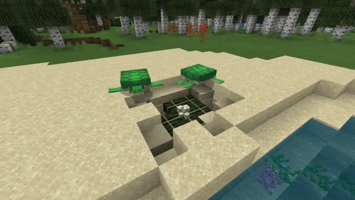 Sea Turtle Nest: Screenshot