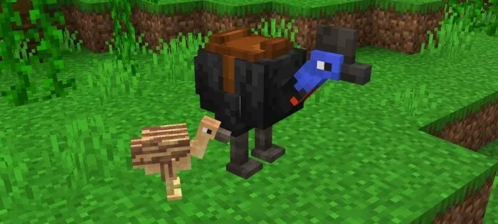 Cassowary