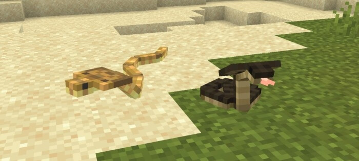 Wildlife Expanded: Snakes Minecraft Mod