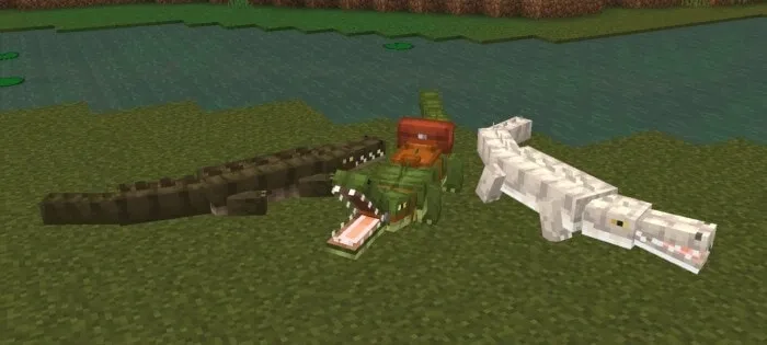 Crocodile