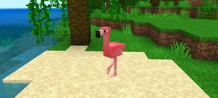 Flamingo