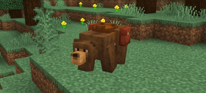 Grizzly Bear