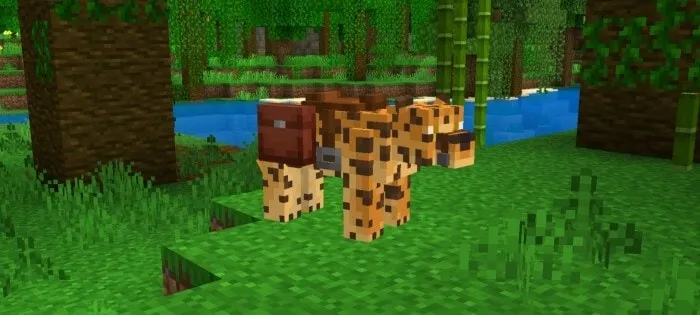 Jaguar