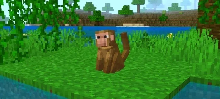 Monkey