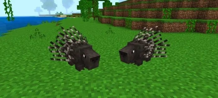 Porcupine