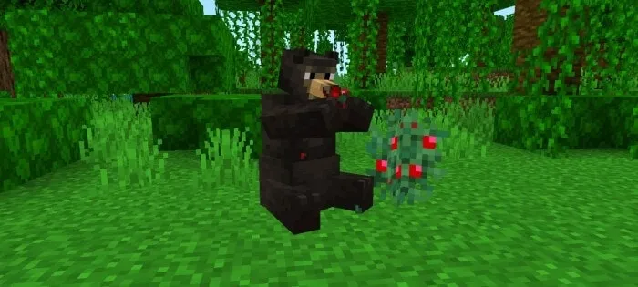 Sun Bear