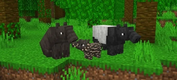 Tapir