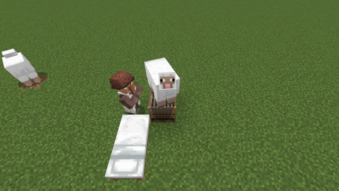 Villager and Sheep