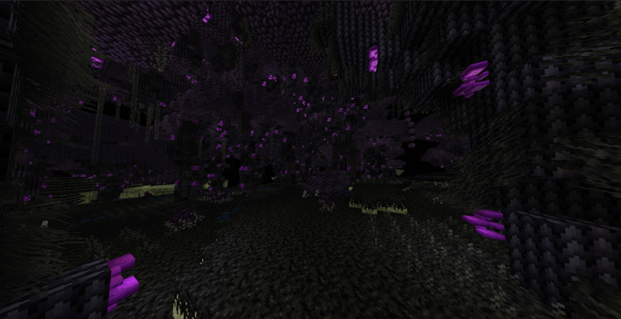 Shadow Forest Screenshot 2