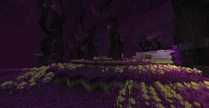 Chorus Forest Screenshot 1