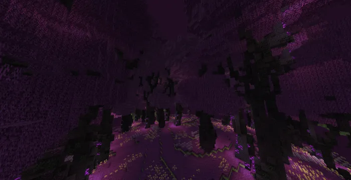 Chorus Forest Screenshot 3