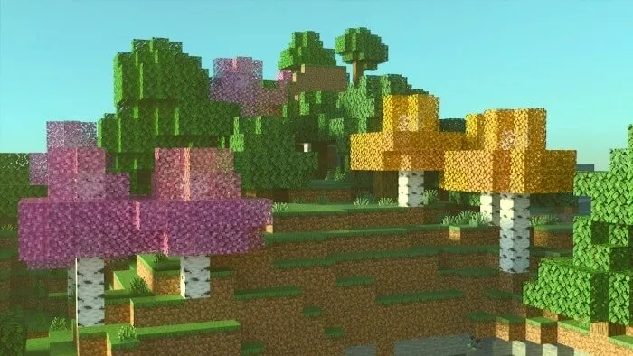 Birch Plus: Screenshot 1