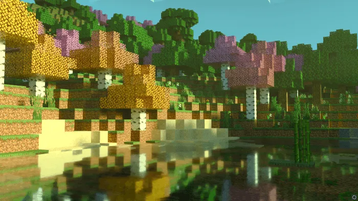 Birch Plus: Screenshot 2