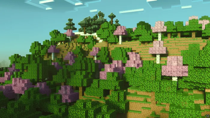 Birch Plus: Screenshot 3