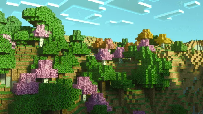 Birch Plus: Screenshot 4